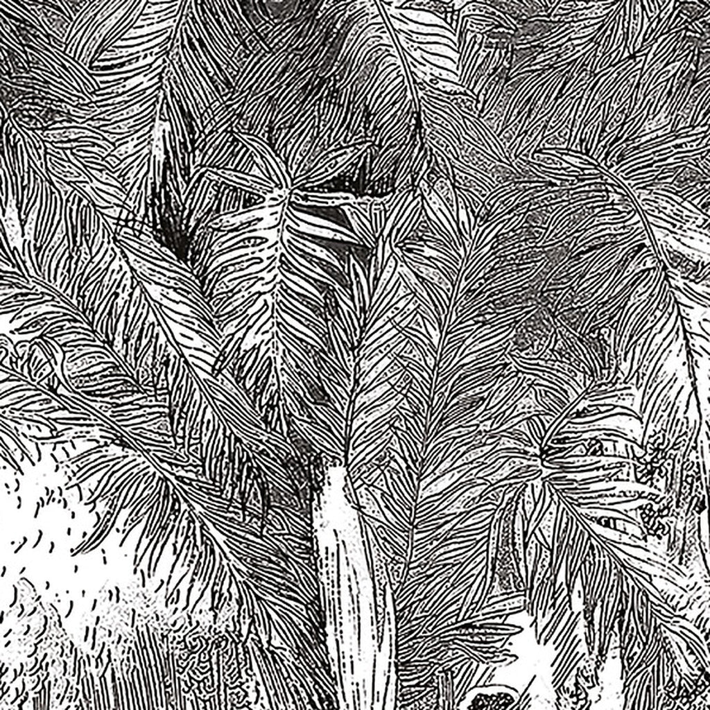 Gravure des Tropiques : détail du décor
