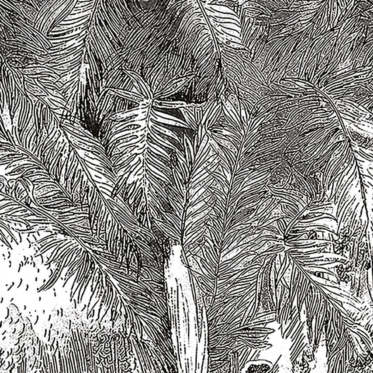 Gravure des Tropiques : détail du décor