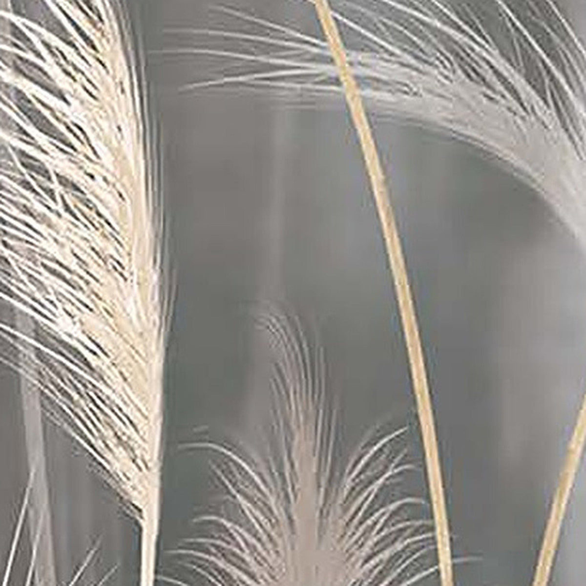 Herbes de Pampa : détail du décor