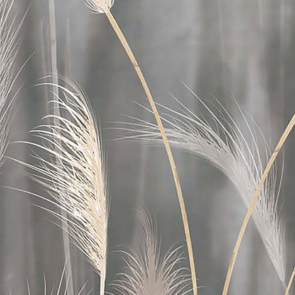 Herbes de Pampa : décor