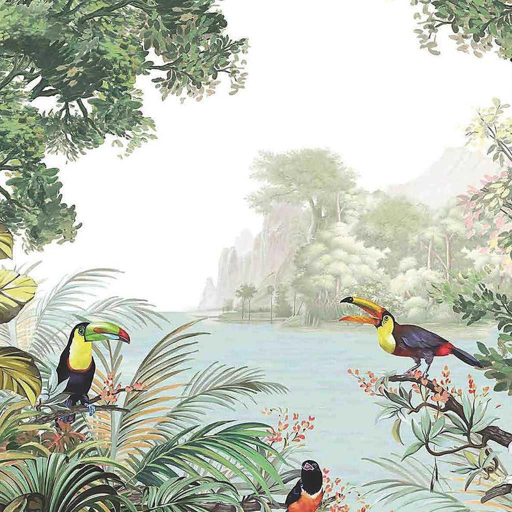 Lagon des Toucans : décor