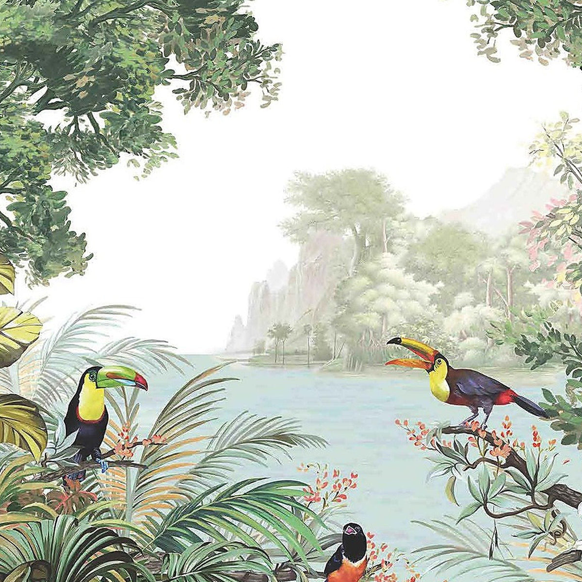 Lagon des Toucans : décor