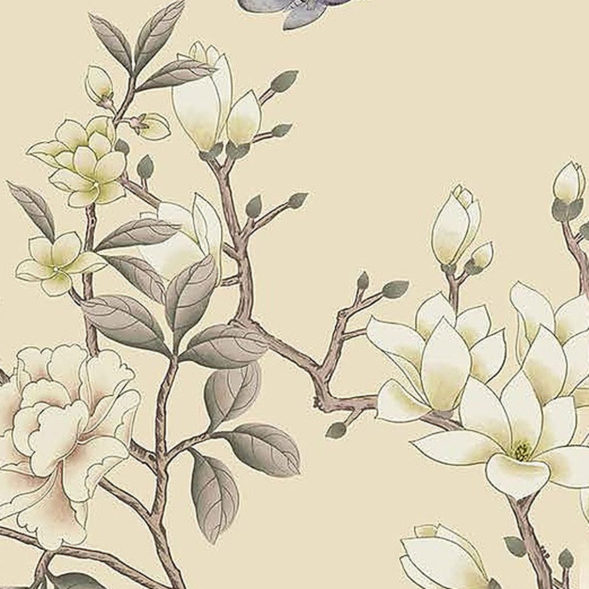 Magnolias et Papillon : détail du décor