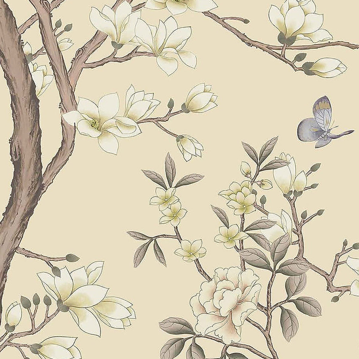 Magnolias et Papillon : décor