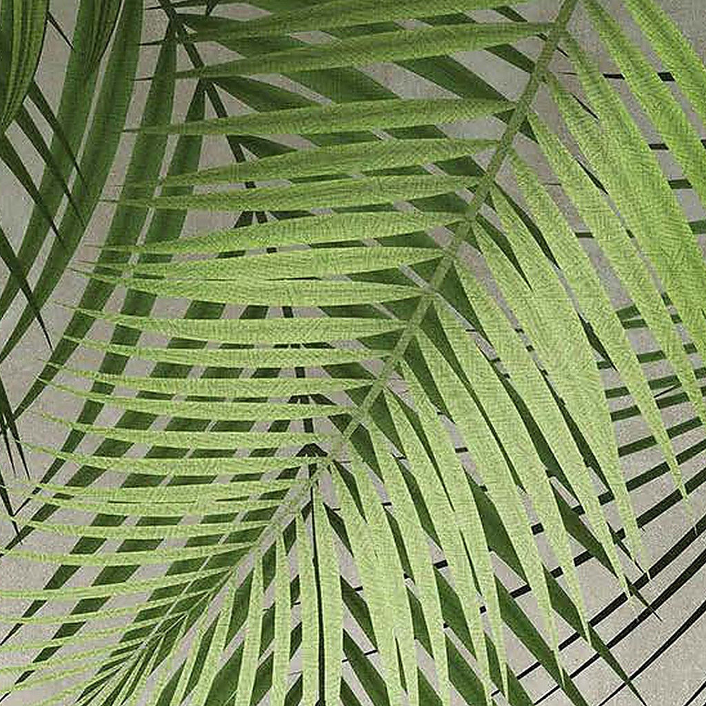Palmes Retombantes : décor