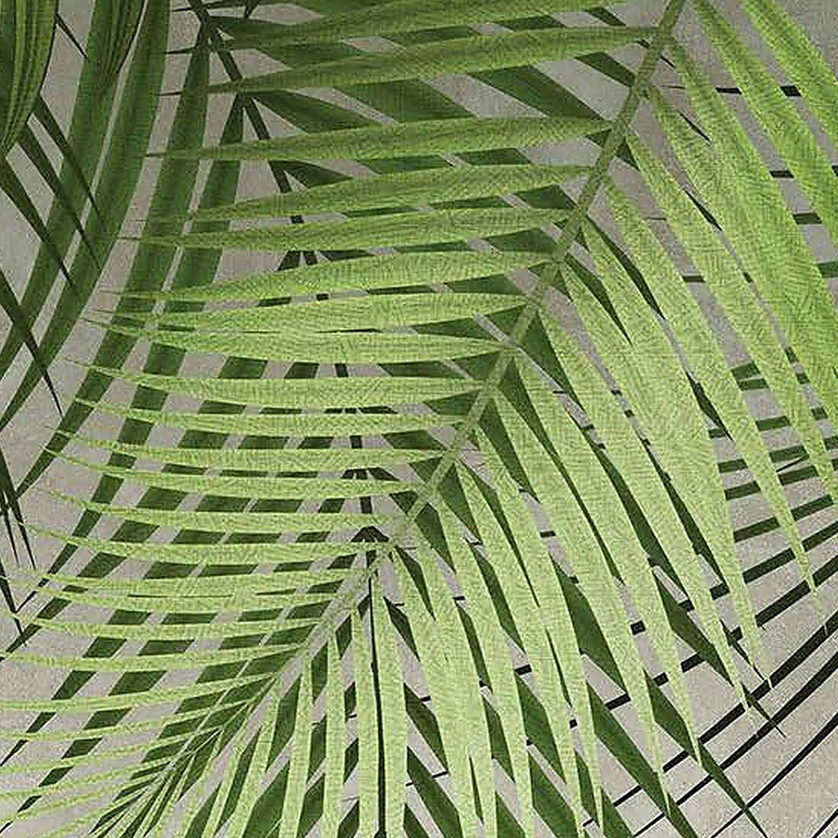 Palmes Retombantes : décor