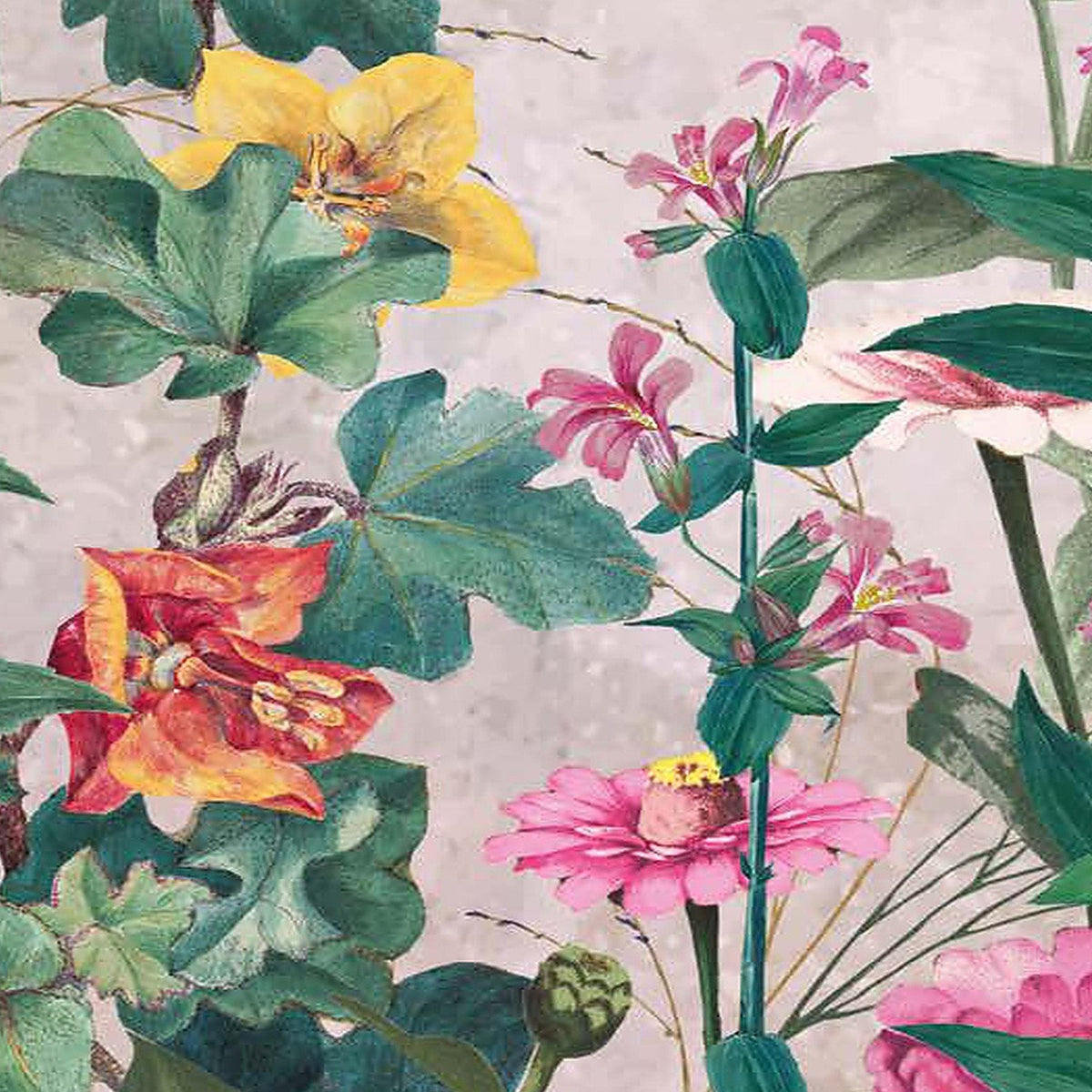 Prairie en Fleurs : décor